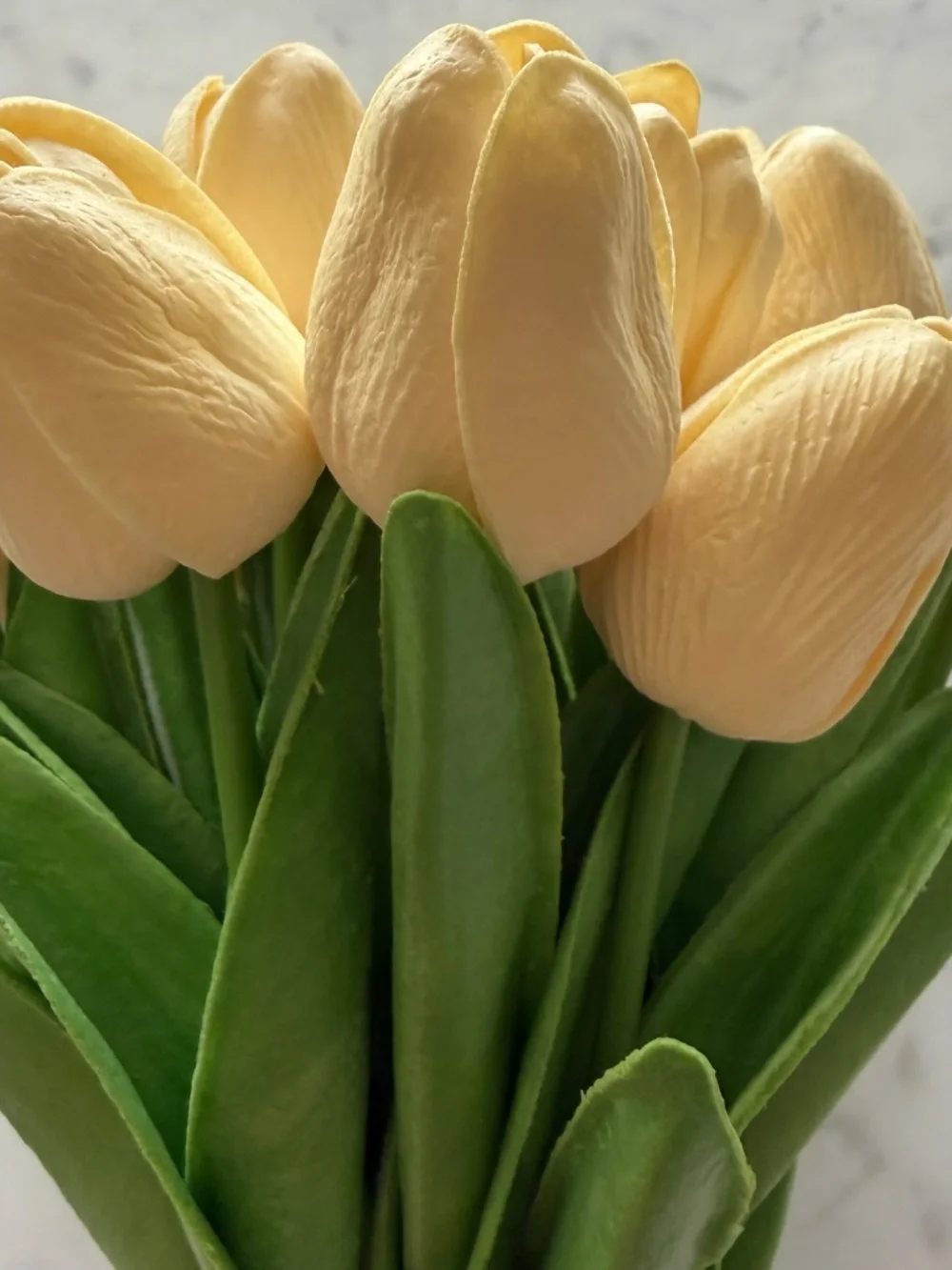Real Touch Tulips